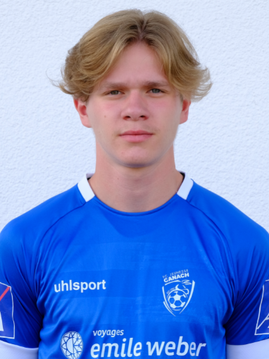 Lex  Hermann