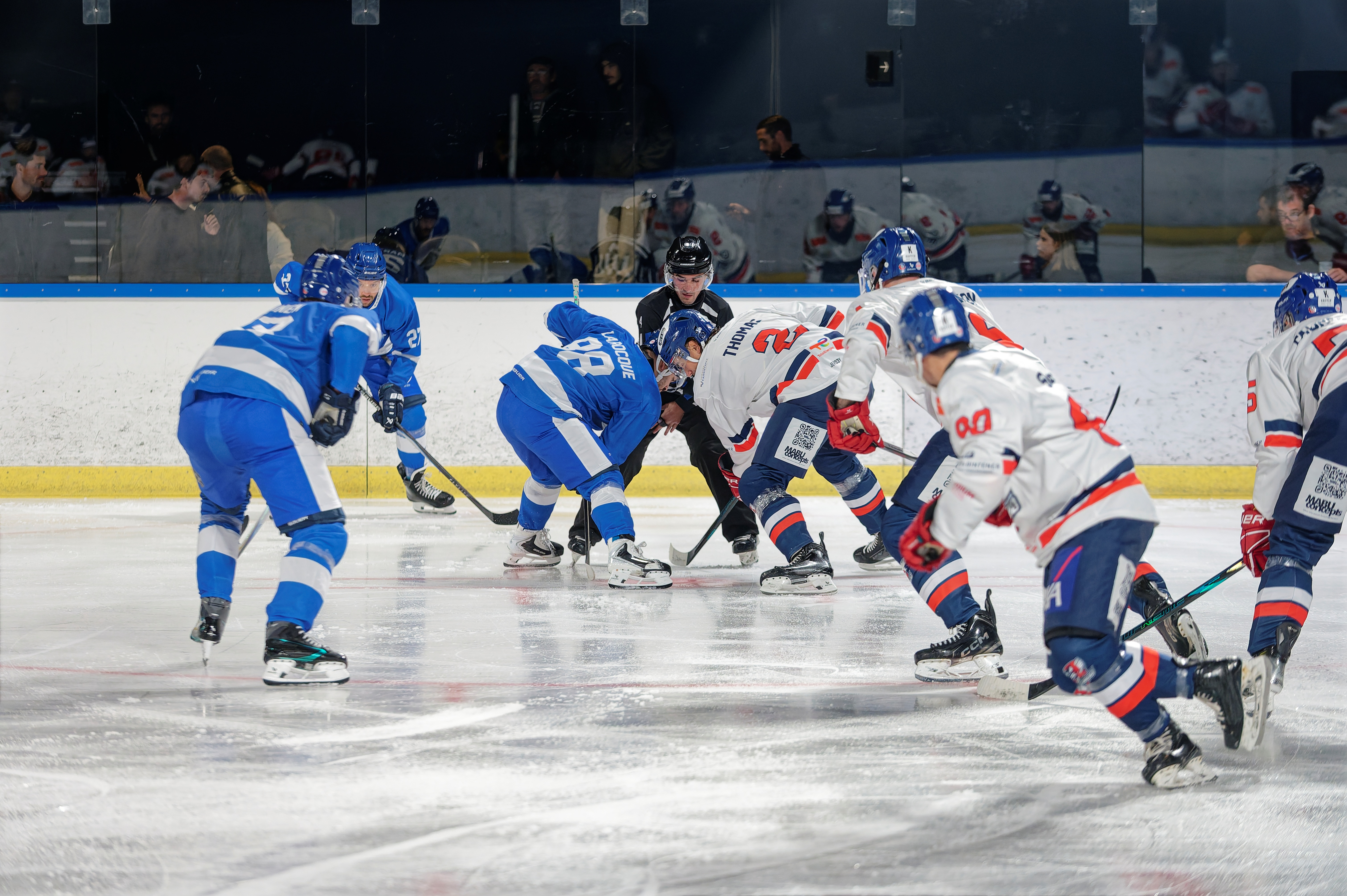 Game Preview: Tornado Returns Home to Face Orléans!