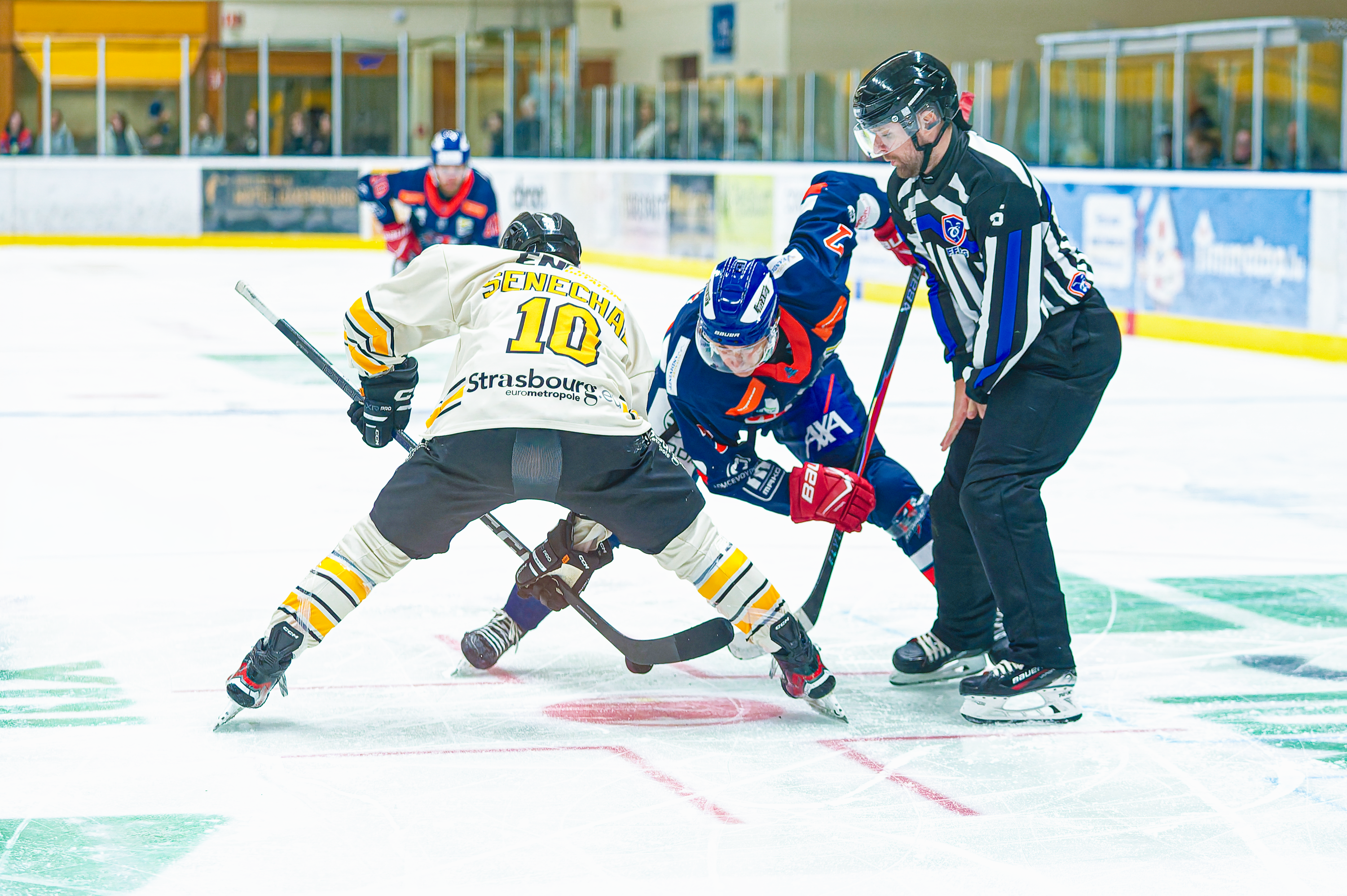 The D2 Season Begins: Tornado Welcomes Group Favorites Hogly