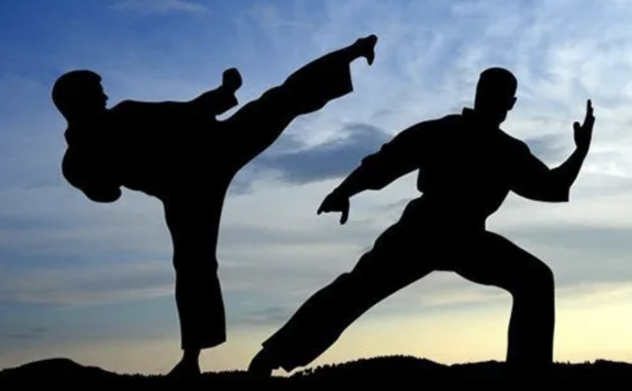 Training AIKIDO /SDC