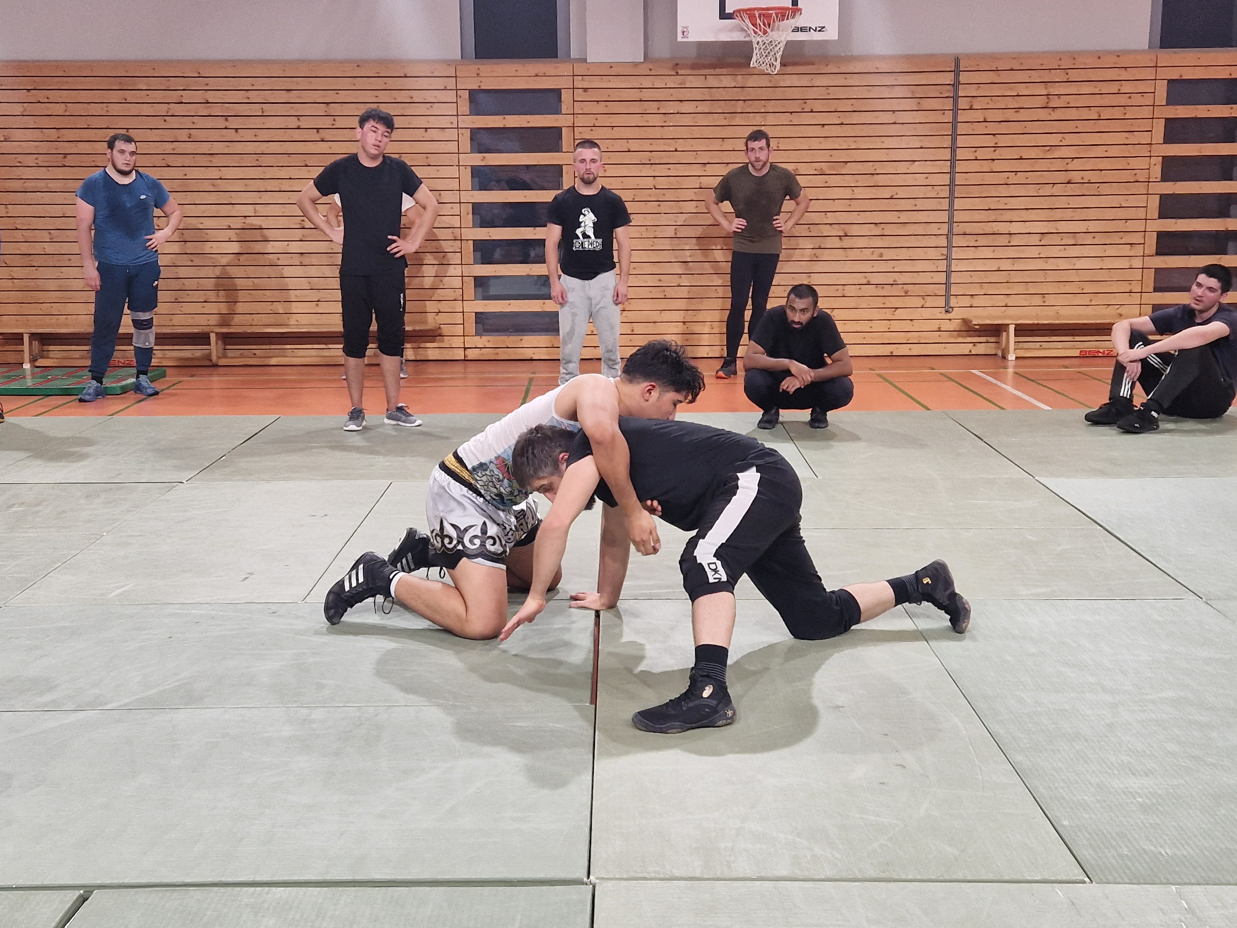 Free Wrestiling Training