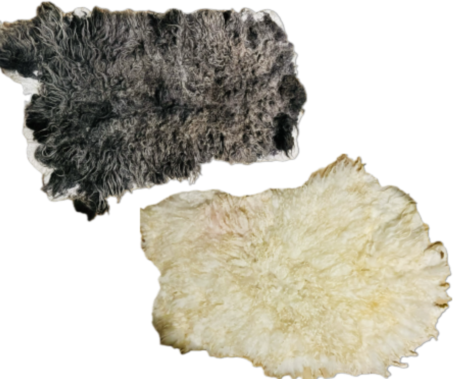 Workshop: Schafsvlies filzen