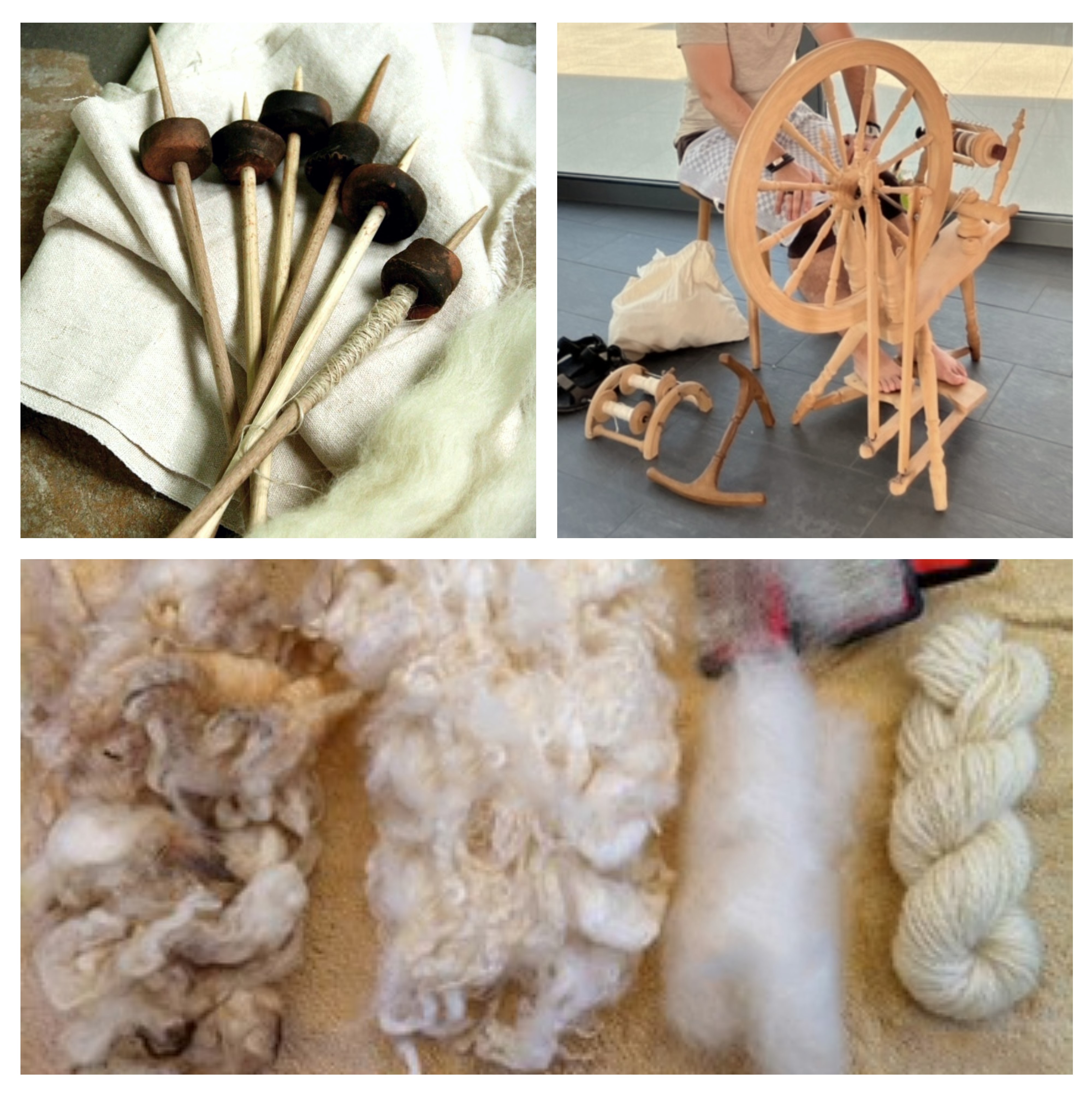 Workshop Spinnen für Anfänger
