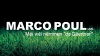 Marco Poul