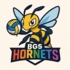 Logo du club BGS Hornets