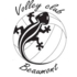 Logo du club Beaumont V.C.