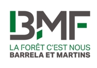 BMF - Logo