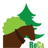 RoCa SARL - Logo