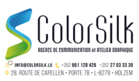 ColorSilk - Logo