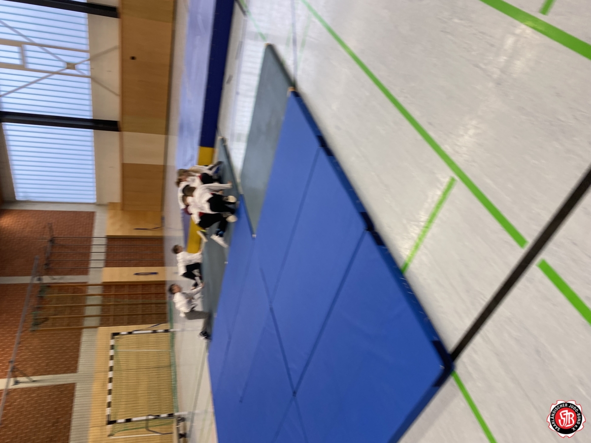 Projekt Judo in Schule Grundschule Heiligenwald