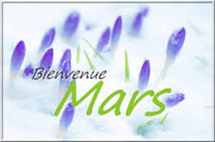 Newsletter Mars 2026.