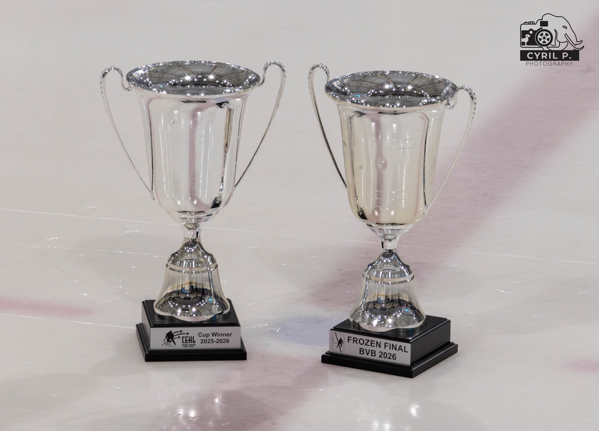 Les Bulldogs de Liège Champions de Belgique