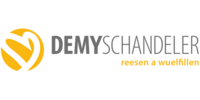 DEMY SCHANDELER