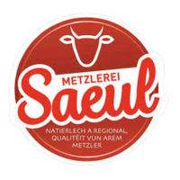 METZLEREI SAEUL - Logo