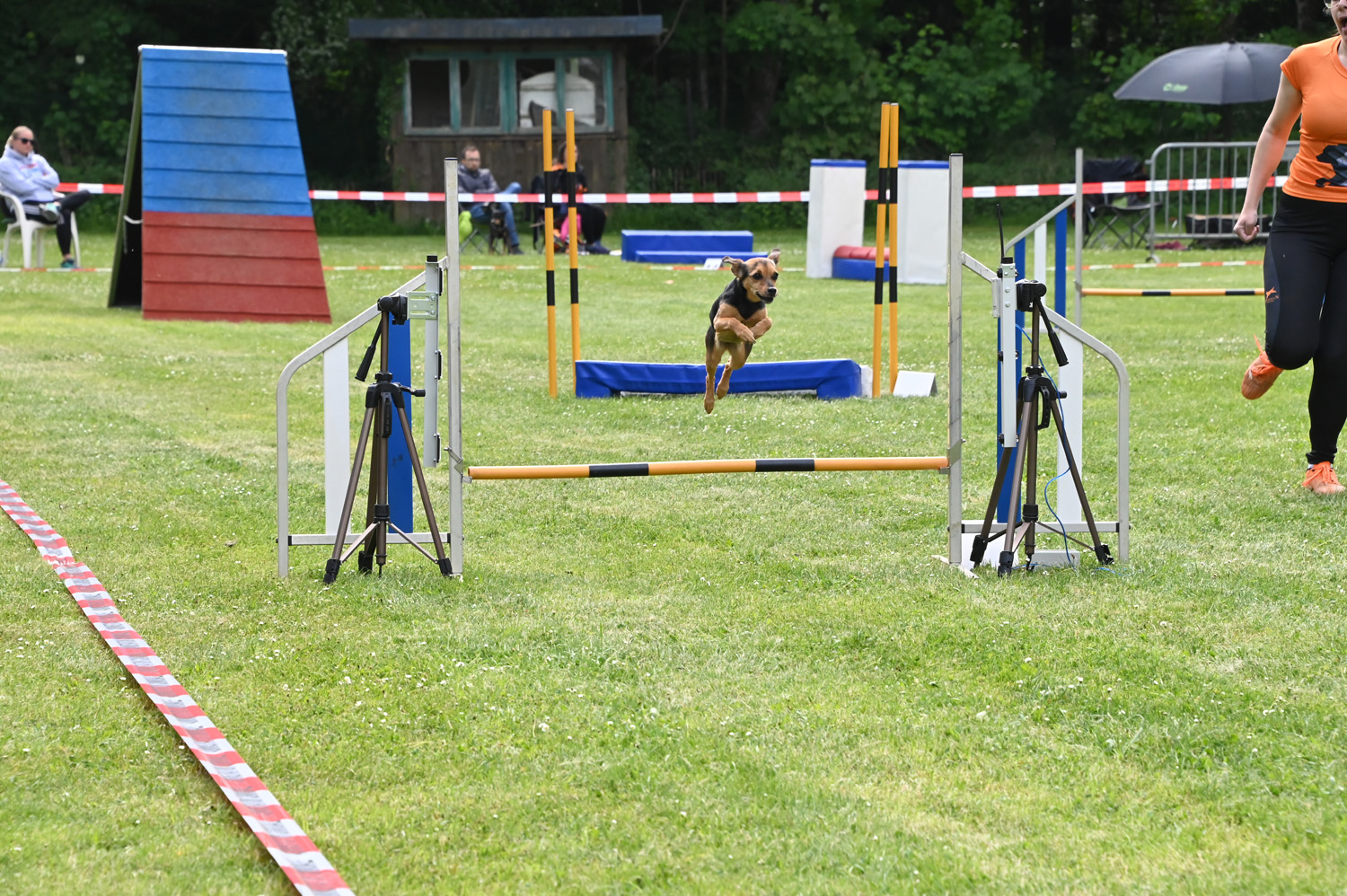 Agilityconcours ACRD 18.05.2025