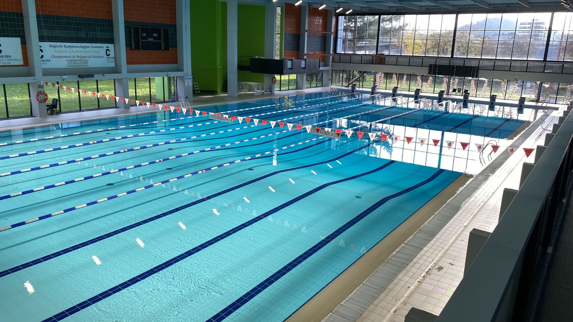 Participation aux championnats francophones Open 50 m