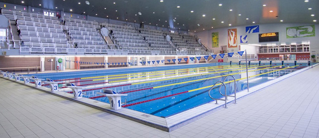 Participation à la Flanders Swimming Cup 2025