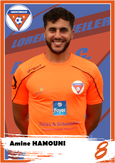 Amine HAMOUNI