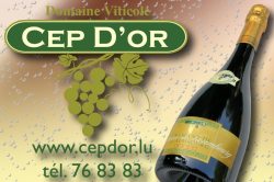 Cep d' Or