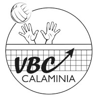 Logo du club V.B.C. Calaminia II