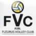 Logo du club Fleurus V.C.