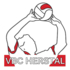 Logo du club Herstal VBC - P4D (Alize)