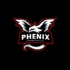 Logo du club Phenix Koekelberg Volley P4D