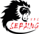 Logo du club Seraing V.B.C.