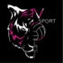 Logo du club Vsport